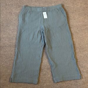 J. Jill Textured Caraway Pants in Sage Green L Petite 100% Cotton NWT
